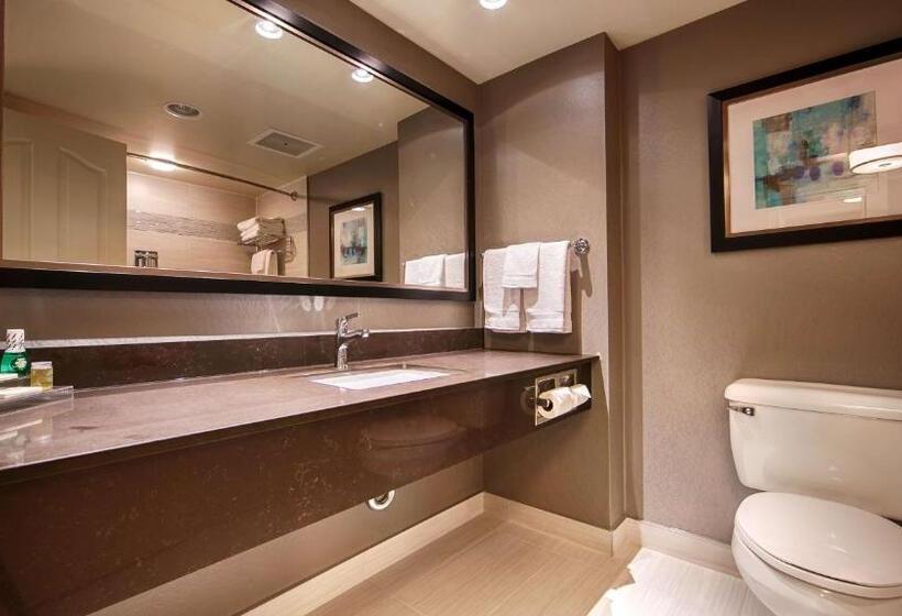 חדר סטנדרט, Best Western Plus The Arden Park