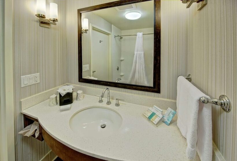 适合残疾人士使用的带超级大床的标准间, Hilton Garden Inn Memphis/wolfchase Galleria
