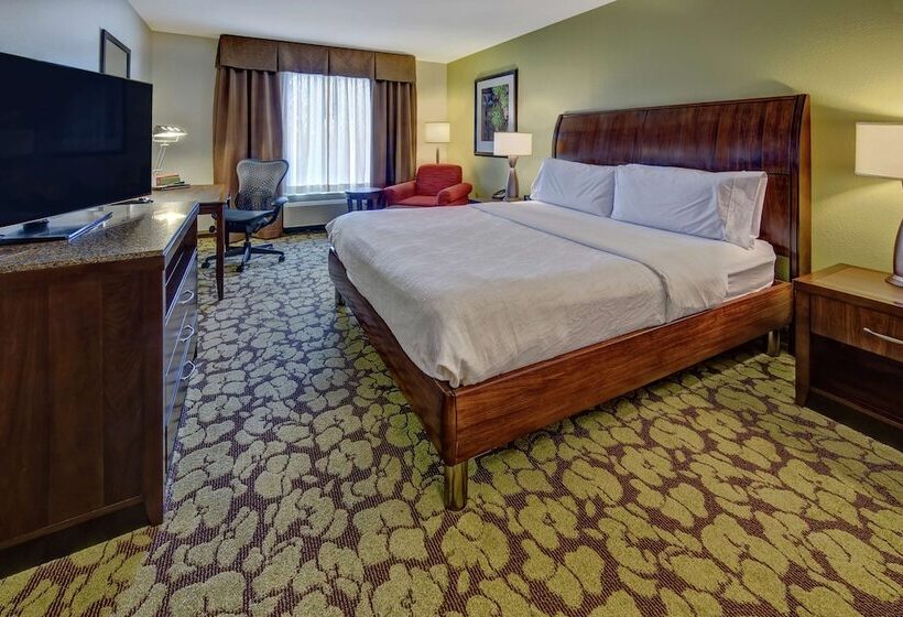 适合残疾人士使用的带超级大床的标准间, Hilton Garden Inn Memphis/wolfchase Galleria