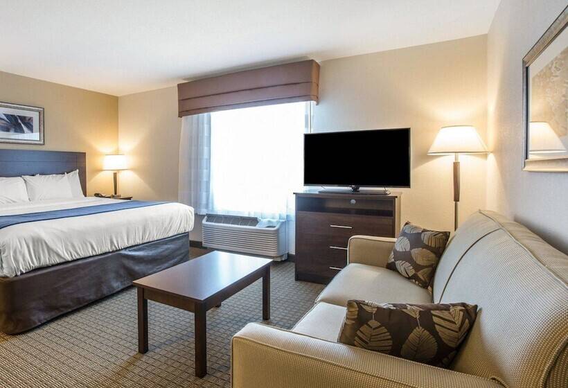 Люкс, Mainstay Suites Cartersville