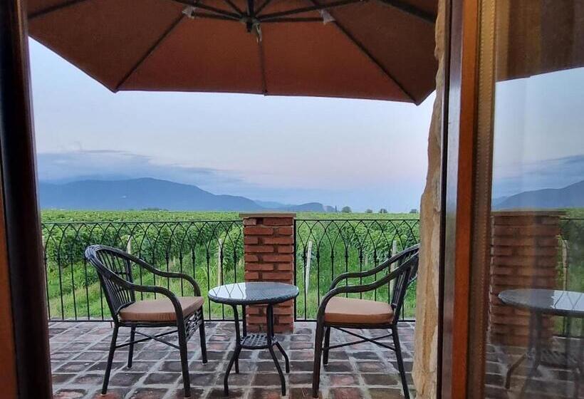 اتاق استاندارد با تراس, Château Davitiani
