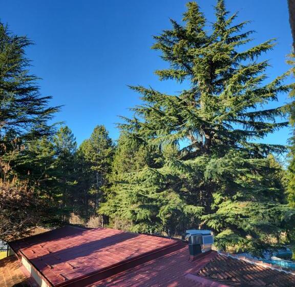 اتاق استاندارد چهارنفره با بالکن, Mayberry Lake   Villa Medijapark