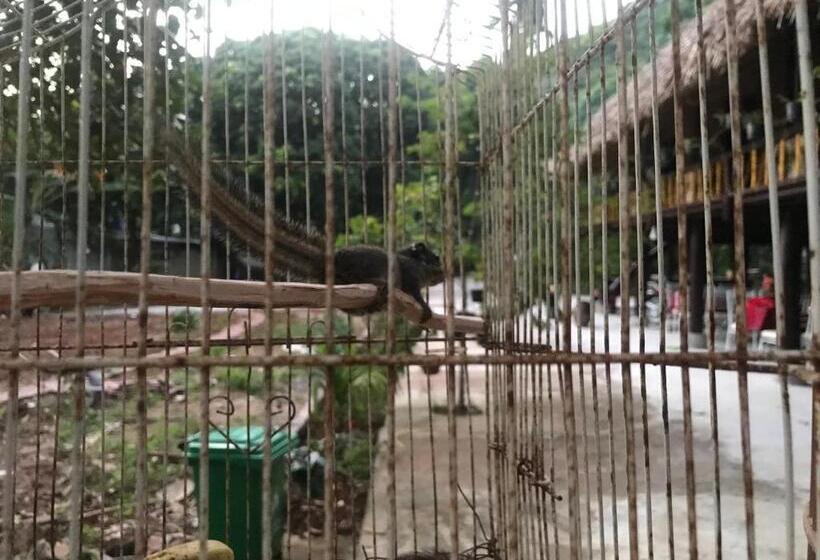 اتاق استاندارد چهارنفره با سرویس بهداشتی مشترک, Bee Lucky Homestay Cat Ba Island