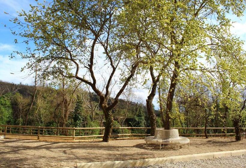 سوییت سوپریور, La Cantina Relais  Fattoria Il Cipresso