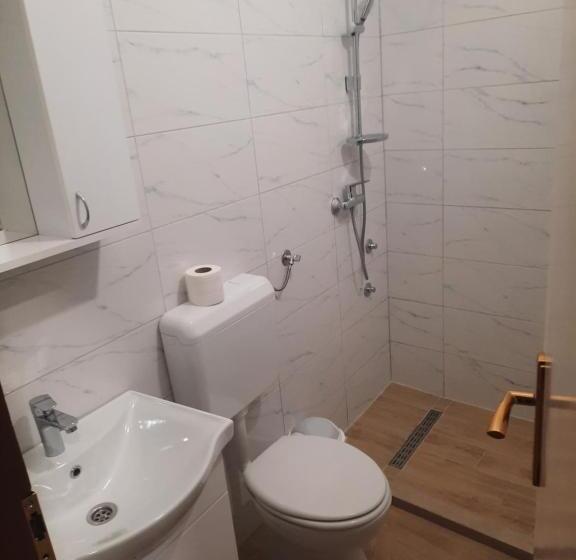 استودیوی استاندارد, Apartmani Aleksandar