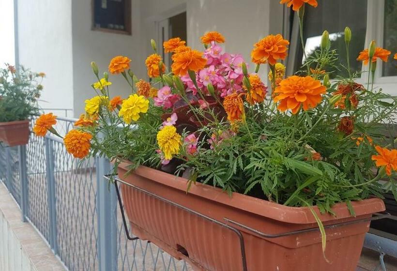 اتاق استاندارد, Farm House Godinje