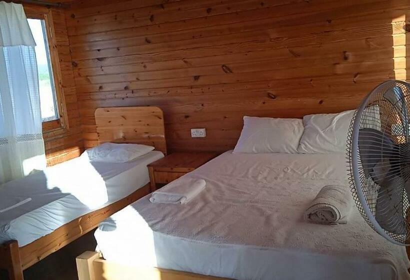 غرفة قياسية مطلّة علي البحر, Oasi̇s At Ayfi̇lon