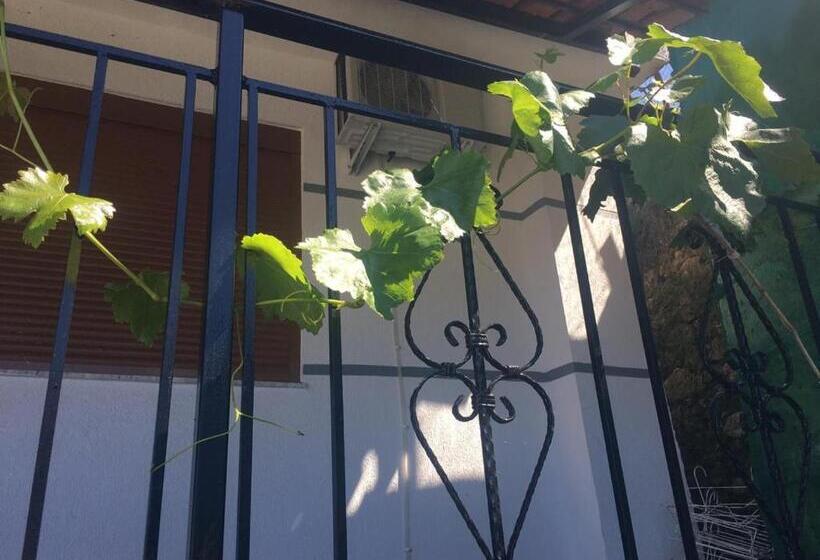 استودیو خانوادگی, Joni S House