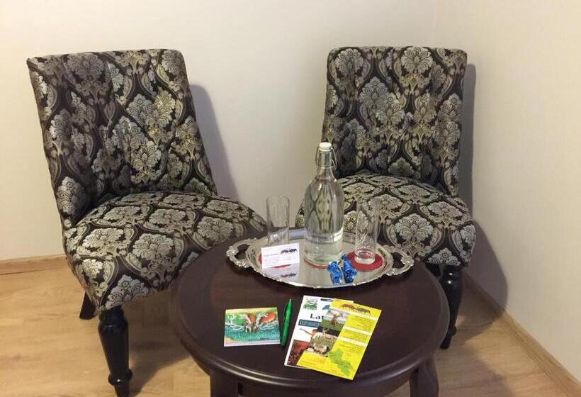 اتاق لوکس, More Guesthouse