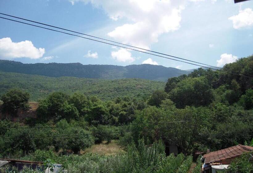 سوئیت جونیور با چشم‌انداز باغ, Lile Pestani Accommodation