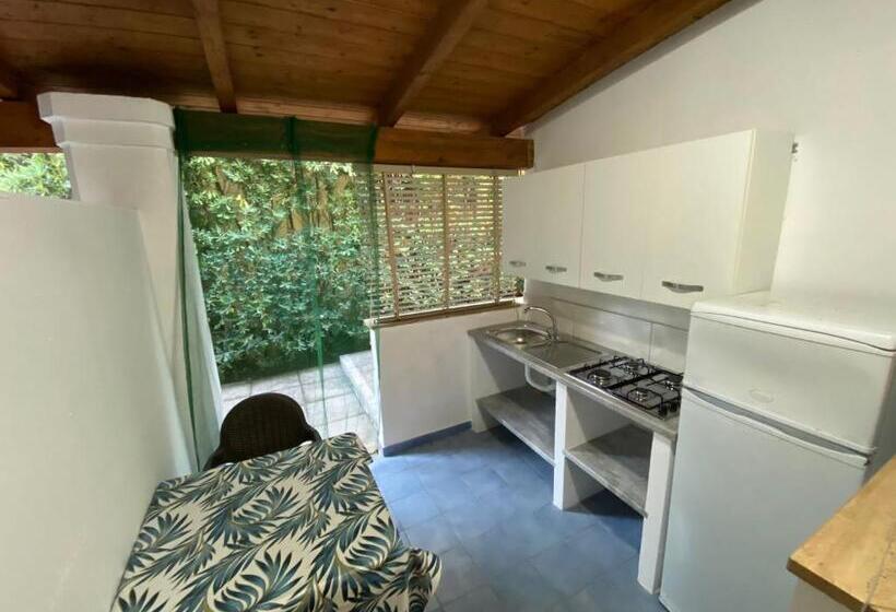 آپارتمان 1 خوابه, Residence Eden
