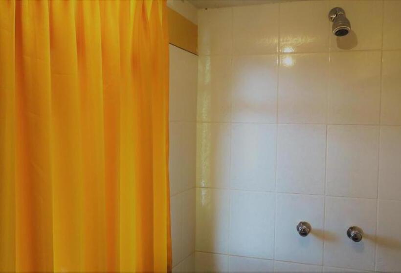 اتاق خانوادگی, Nery Lodging