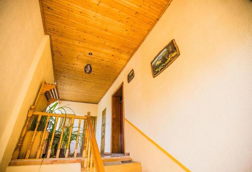Номер Стандарт, Guest House In Drachino