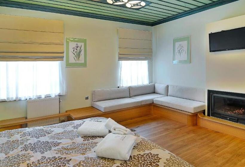 Люкс Повышенной Комфортности, Dilofo Hotel Luxury Suites