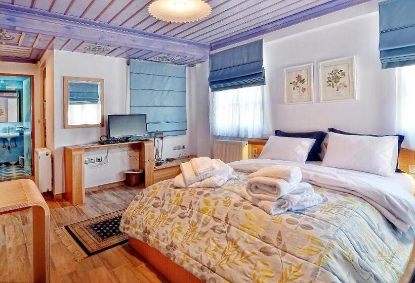 Полулюкс Одноместный с Террасой, Dilofo Hotel Luxury Suites