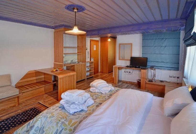 Полулюкс Одноместный с Террасой, Dilofo Hotel Luxury Suites