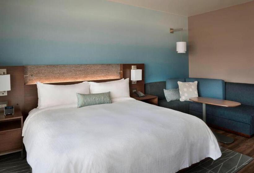 Номер Стандарт Кровать Кинг Адаптированный для Инвалидов, Buffalo Marriott At Lecom Harborcenter