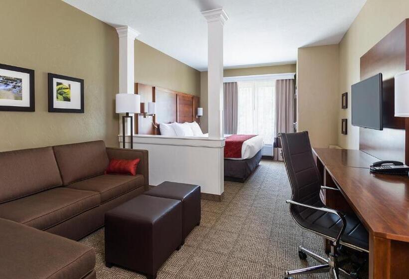 Люкс Адаптированный для Инвалидов, Comfort Suites Hartville North Canton