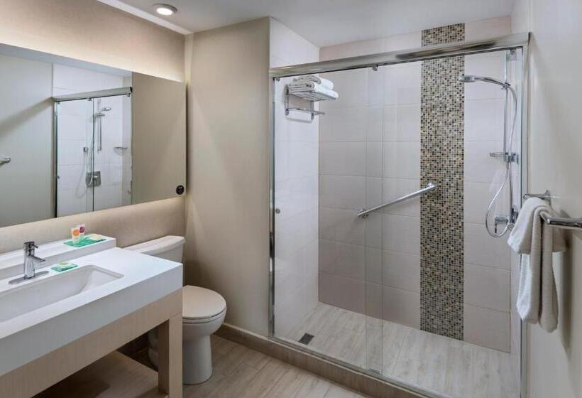 اتاق استاندارد با تخت بزرگ, Hyatt Place Tegucigalpa