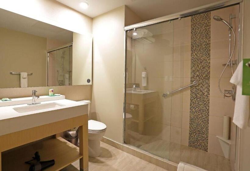 اتاق استاندارد, Hyatt Place Tegucigalpa