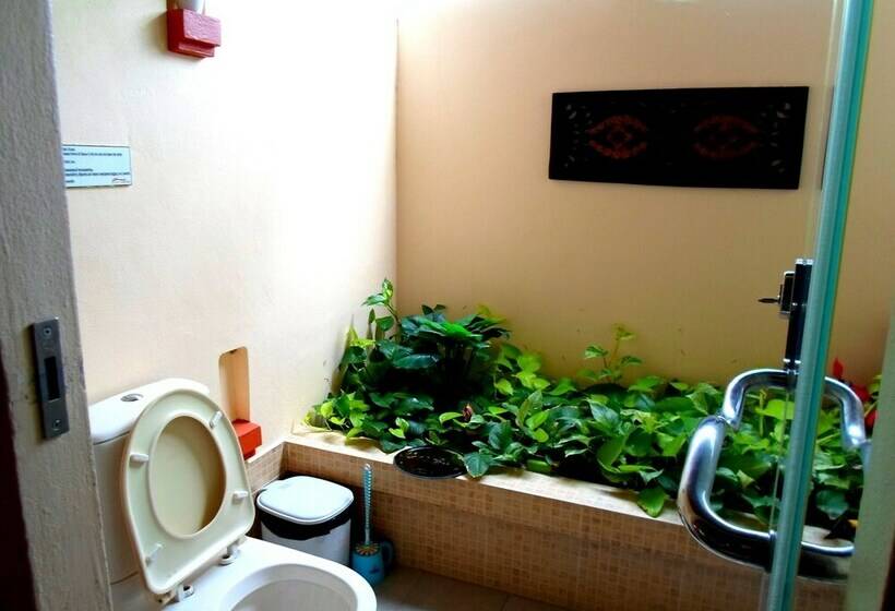 ویلای 1 خوابه, Baan Tropicana