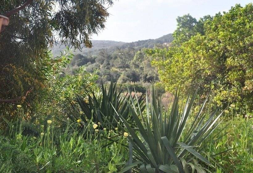 ویلای 4 خوابه, Résidence Maora Village