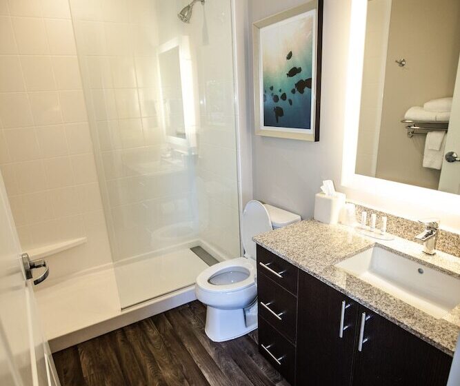 スタンダードスタジオ, Towneplace Suites By Marriott Boynton Beach