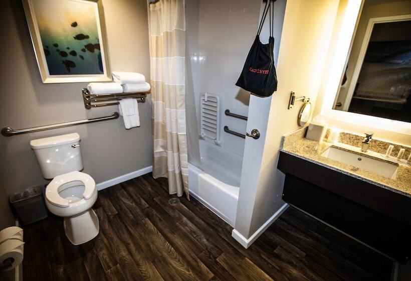 バルコニー付きスタンダードステューディオ, Towneplace Suites By Marriott Boynton Beach