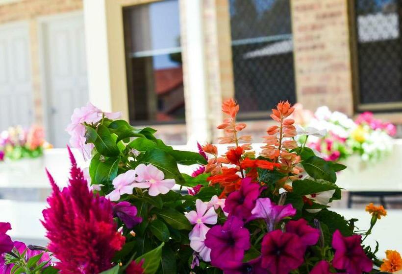 Номер Стандарт Индивидуальный Кровать Куин, Golden Beach Motor Inn, Caloundra