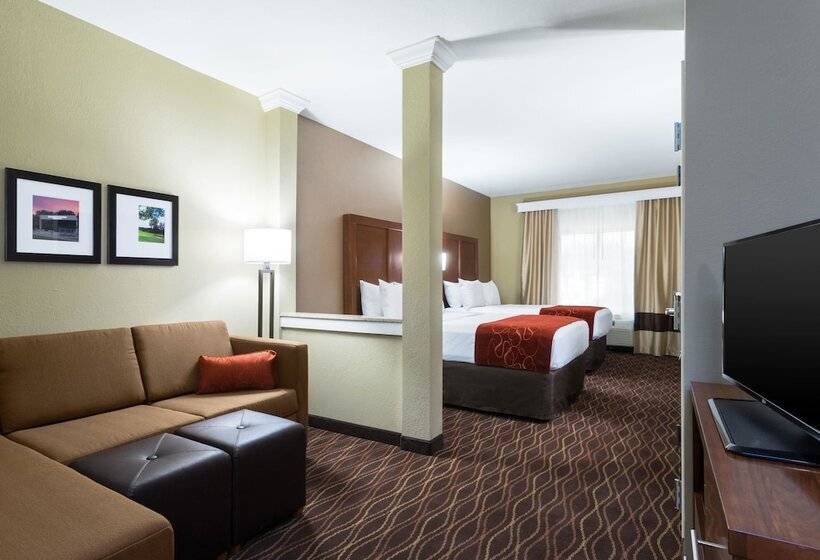 Люкс Адаптированный для Инвалидов, Comfort Suites Dubois