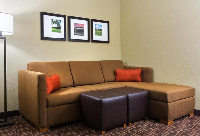 Люкс Адаптированный для Инвалидов, Comfort Suites Dubois