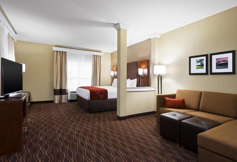 جناح لذوى الاحتياجات الخاصة, Comfort Suites Dubois