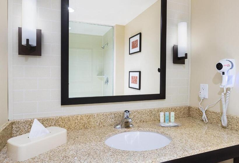 Люкс Адаптированный для Инвалидов, Comfort Suites Dubois