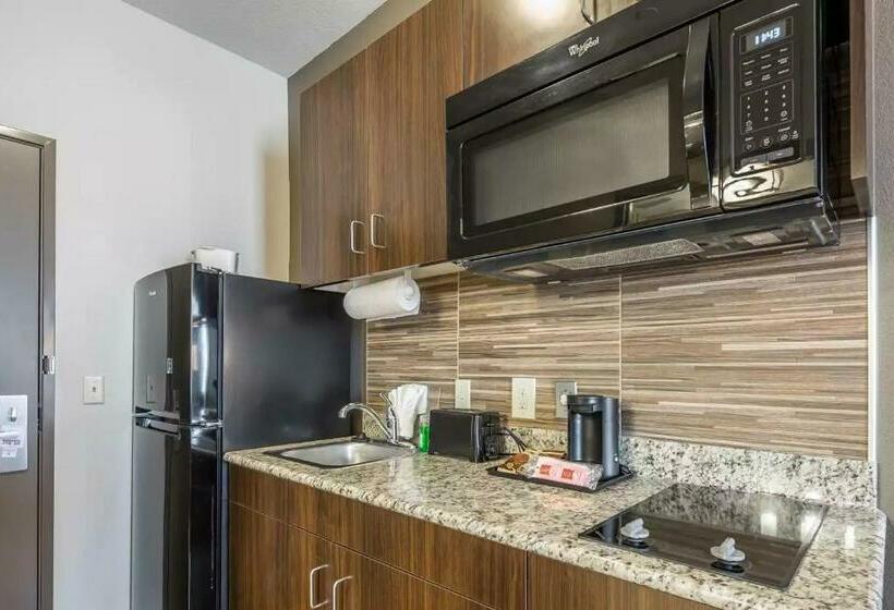 חדר סטנדרט, Suburban Studios Midland I20