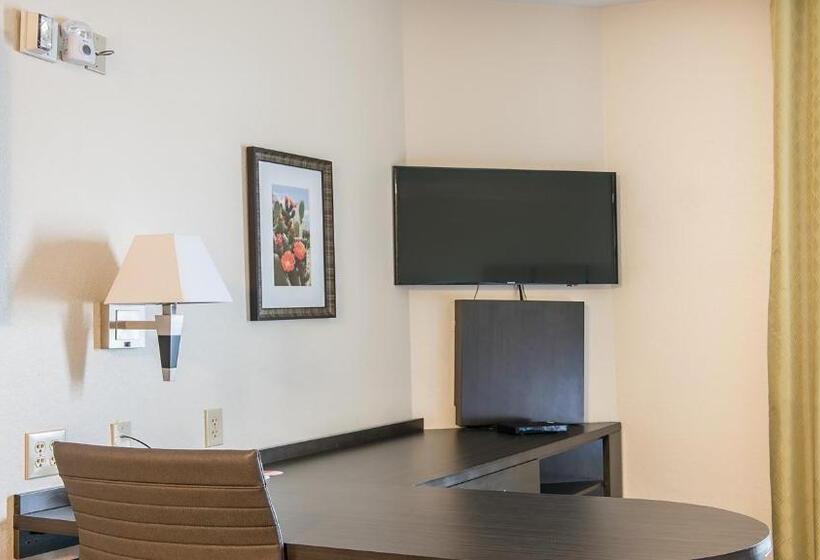身障者適用スイートルーム, Candlewood Suites Bay City, An Ihg