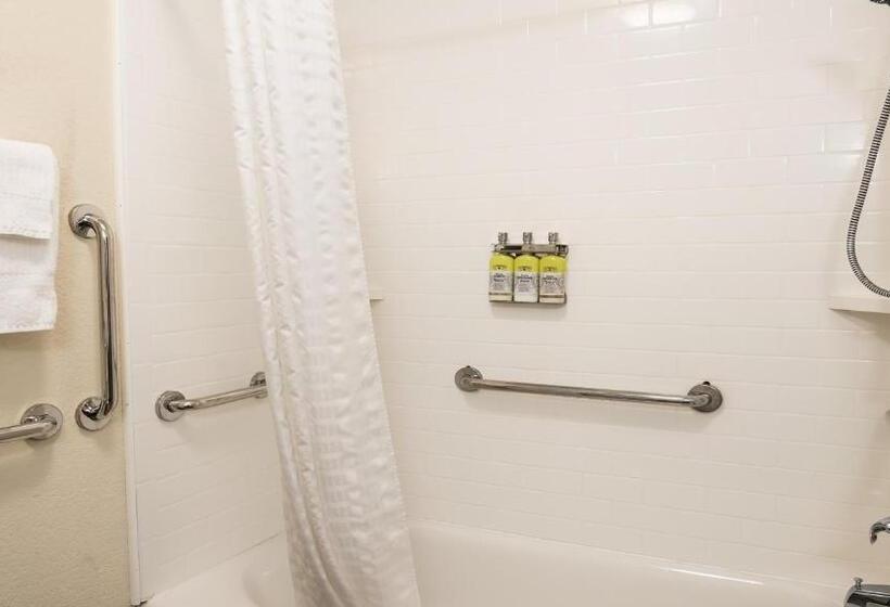 Люкс Адаптированный для Инвалидов, Candlewood Suites Bay City, An Ihg