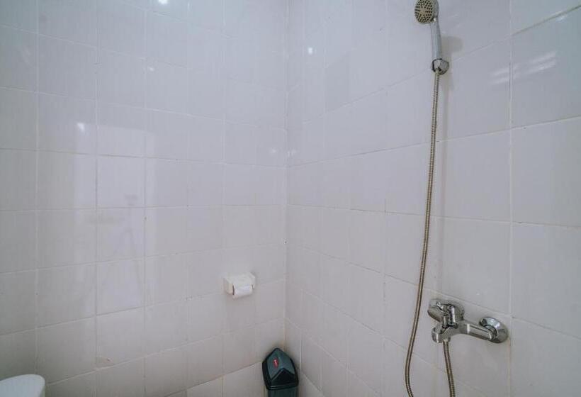 اتاق استاندارد, Brisk Homestay
