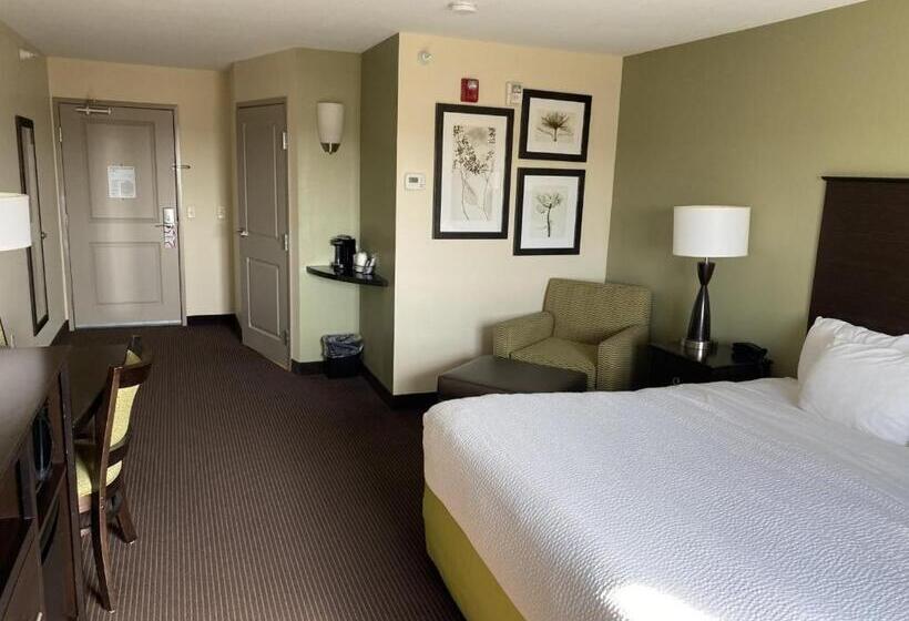 장애인을 위한 킹사이즈 침대 스탠다드 룸, Americinn By Wyndham Hartford Sd