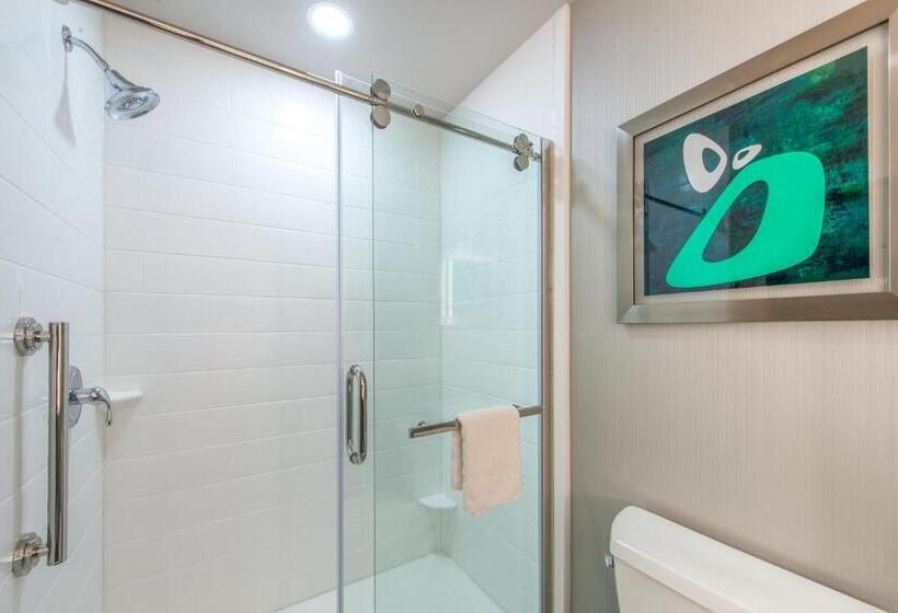 장애인을 위한 킹사이즈 침대 스탠다드 룸, Holiday Inn Express Shawnee, An Ihg