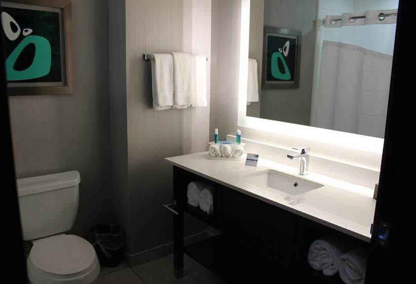 스탠다드 룸, Holiday Inn Express Shawnee, An Ihg