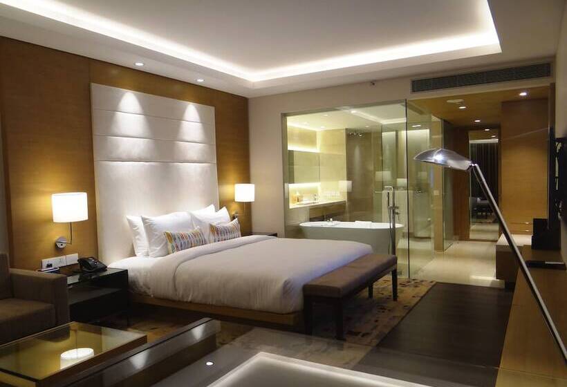 سوییت جونیور, Feathers  A Radha Hotel, Chennai