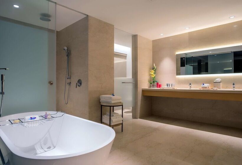 سوئیت پرزیدنت, Feathers  A Radha Hotel, Chennai