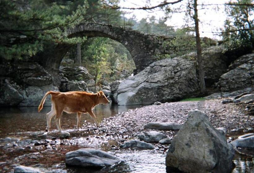 Номер Стандарт, U Pasturellu