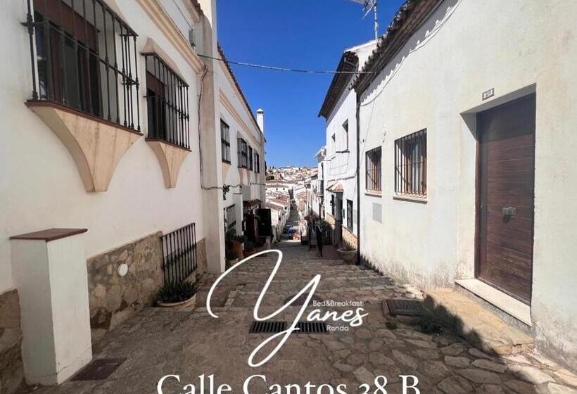 4인용 스탠다드 룸, Yanes Bed And Breakfast Ronda