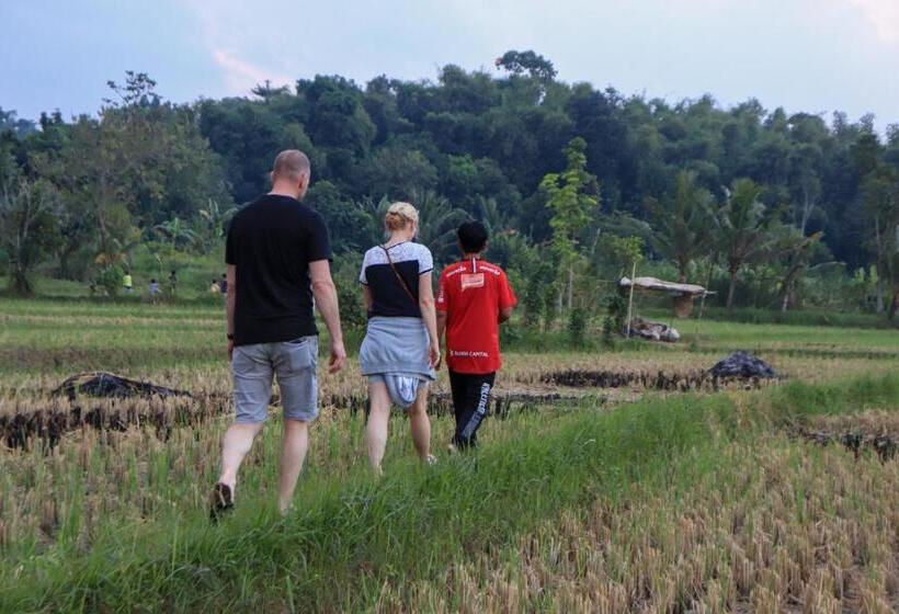 Номер Стандарт Индивидуальный, Bale Villa Central Lombok