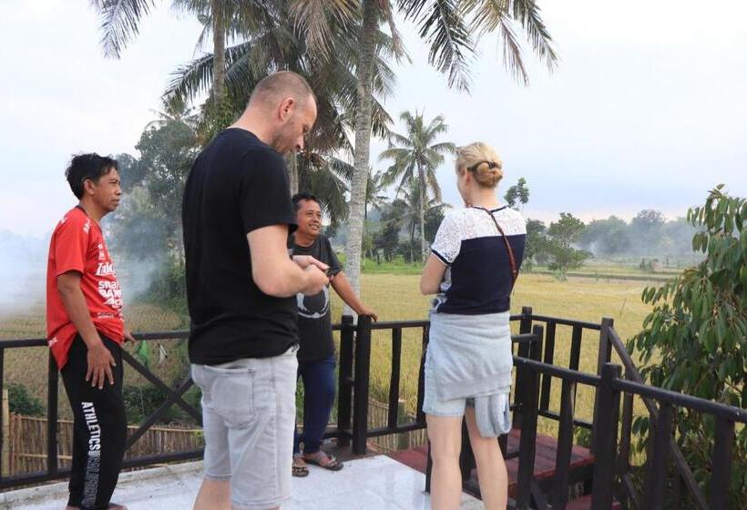 Номер Стандарт Индивидуальный, Bale Villa Central Lombok