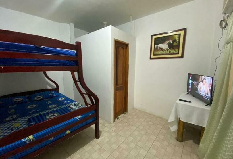 اتاق استاندارد, Ufo Rooms