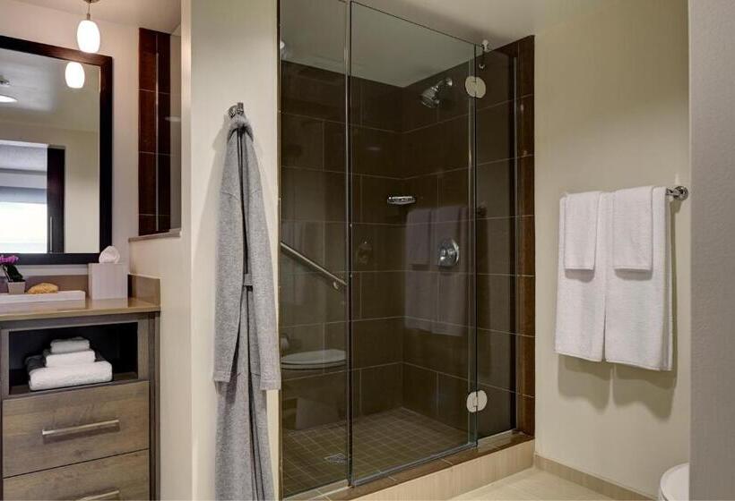 스탠다드 스튜디오 킹침대, Hyatt House Sacramento Airport   Natomas