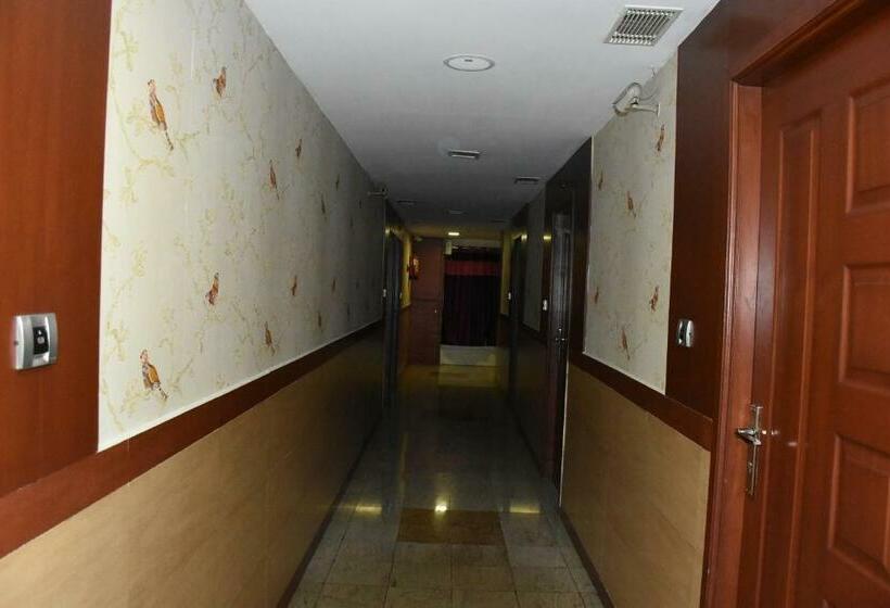 豪华单人间, Everest Park Residency