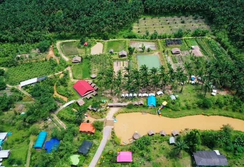 اتاق استاندارد با چشم‌انداز استخر, Phonphusang Utopia Farmstay
